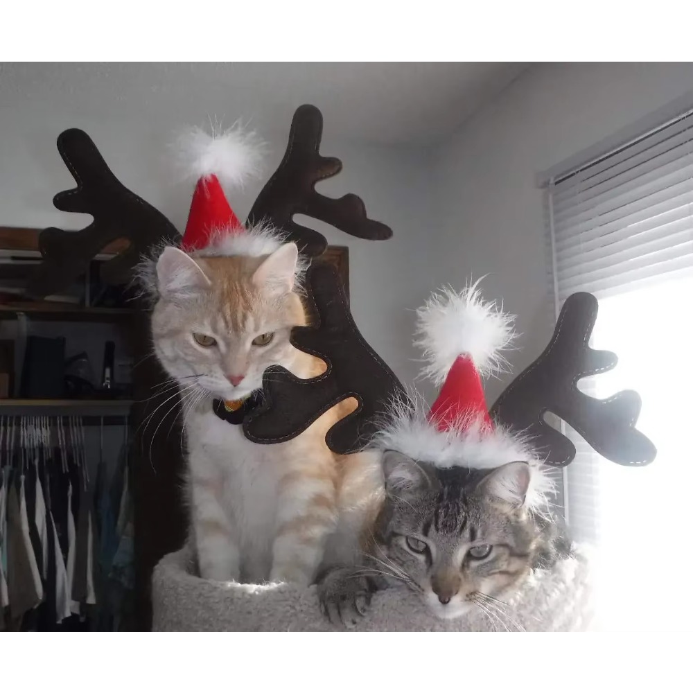 Reindeer Antlers Headband - ที่คาดผมเขากวางเรนเดียร์คริสต์มาสสำหรับสัตว์เลี้ยง พร้อมหมวกซานต้า ปรับขนาดได้ ชุดคอสตูมคริสต์มาสสำหรับสุนัขและแมว เครื่องประดับศีรษะสำหรับงานปาร์ตี้วันหยุด อุปกรณ์ประกอบฉากถ่ายรูปสำหรับสัตว์เลี้ยง